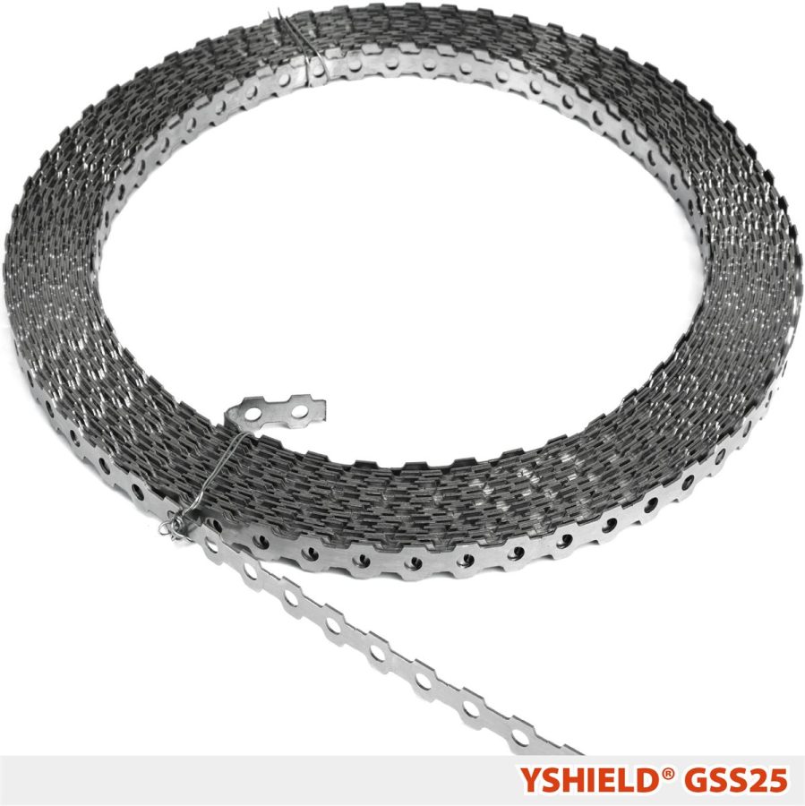 GSS25 Nastro Forato in Acciaio Inox